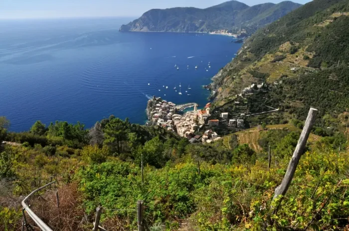 Framed Print : Part of Cinque Terre Framed Print : Part of Cinque Terre