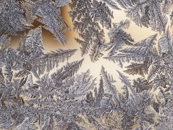 Framed Print : a circle of frost trees