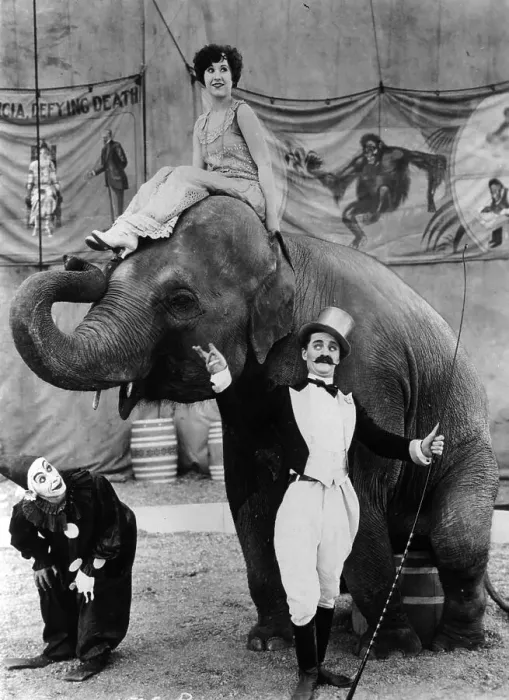 Framed Print : At The Circus Framed Print : At The Circus