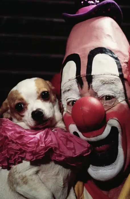 Framed Print : Circus Clown Lou Jacobs and Knucklehead the Chihuahua