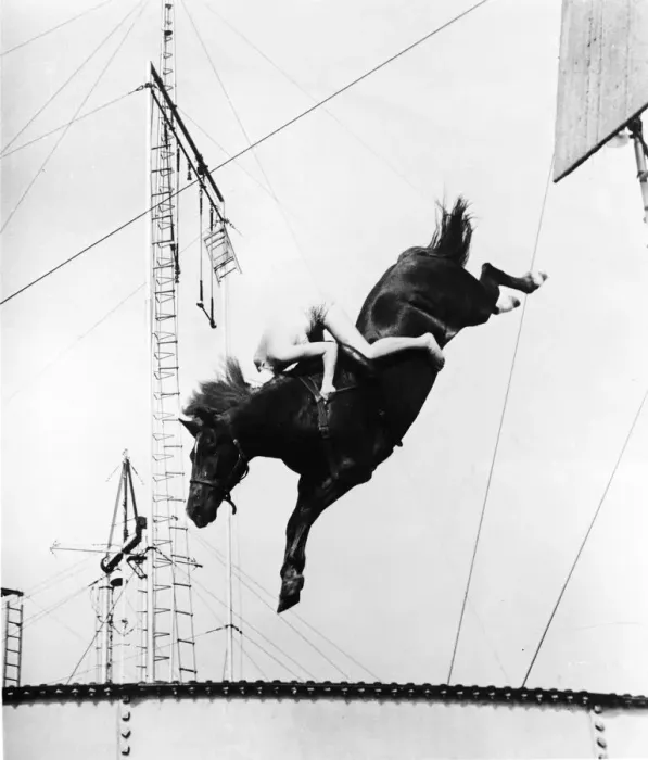 Framed Print : Circus Performer Diving On Horseback Framed Print : Circus Performer Diving On Horseback