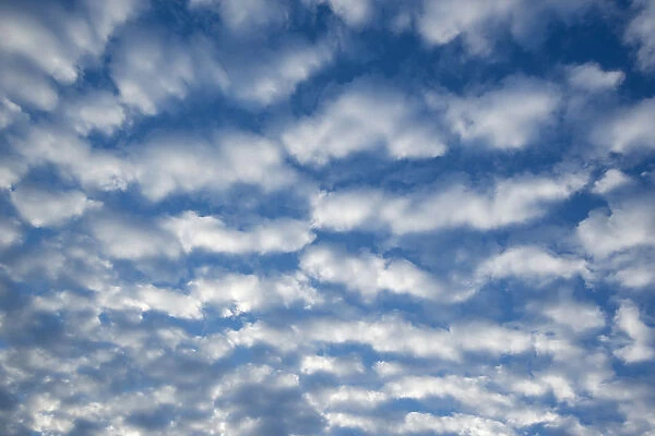 Cirrocumulus clouds, small fluffy clouds, Germany
