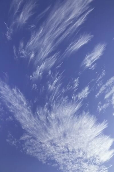 Cirrus clouds, Utah. Cirrus clouds floating in blue sky