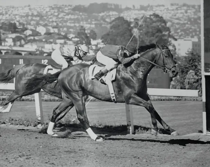 Framed Print : Citation Pulling Ahead of Bolero Framed Print : Citation Pulling Ahead of Bolero