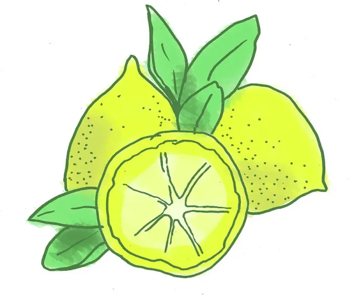 Framed Print : Citrus. Dorling Kindersley Prints Framed Print : Citrus. Dorling Kindersley Prints