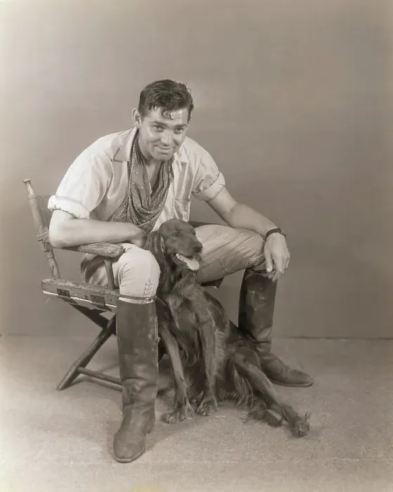 Framed Print : Clark Gable Posing With His Dog Framed Print : Clark Gable Posing With His Dog