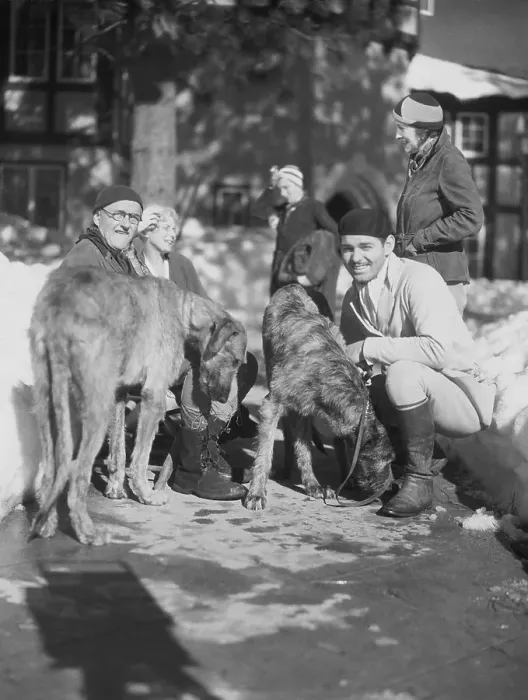 Framed Print : Clark Gable and Richard Bennett with Dogs Framed Print : Clark Gable and Richard Bennett with Dogs