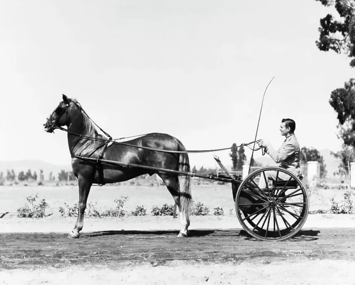 Framed Print : Clark Gable Rides In 1-Man Carriage / Hors Framed Print : Clark Gable Rides In 1-Man Carriage / Hors