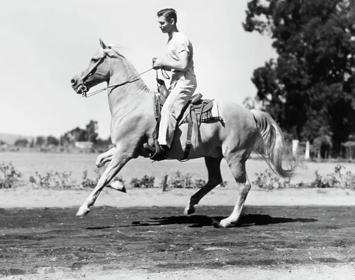 Framed Print : Clark Gable Riding a Horse Framed Print : Clark Gable Riding a Horse