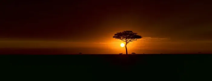 Framed Print : Classic African Sunrise in the Masai Mara National Reserve, Kenya Framed Print : Classic African Sunrise in the Masai Mara National Reserve, Kenya