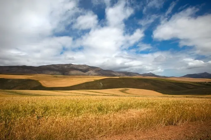 Framed Print : clear sky, cloud, color image, day, eastern cape province, grass, grass, grass area Framed Print : clear sky, cloud, color image, day, eastern cape province, grass, grass, grass area
