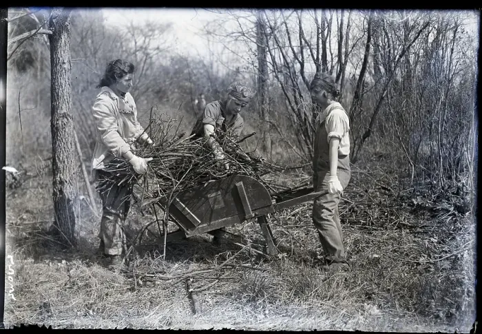 Framed Print : Clearing Ground For Plowing Framed Print : Clearing Ground For Plowing