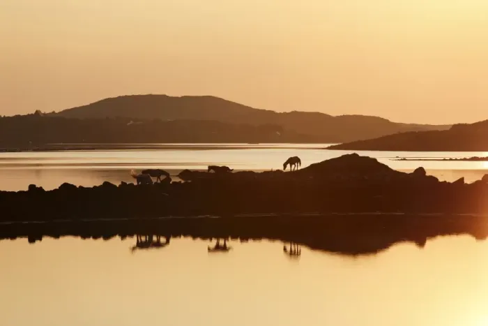 Framed Print : Clifden Bay at sunset, Connemara, County Galway, Republic of Ireland, Europe Framed Print : Clifden Bay at sunset, Connemara, County Galway, Republic of Ireland, Europe