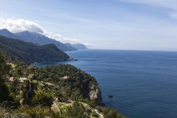 Cliffs near Estellencs, Banyalbufar, Majorca, Balearic Islands, Spain