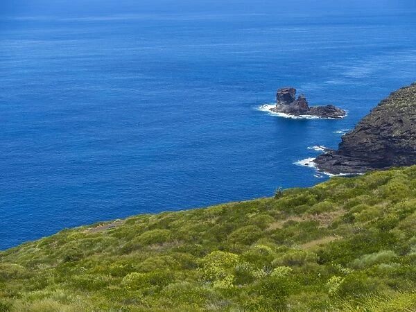 Cliffs, near Garafia, Punta del Puerto Viejo, La Palma, Canary Islands, Spain