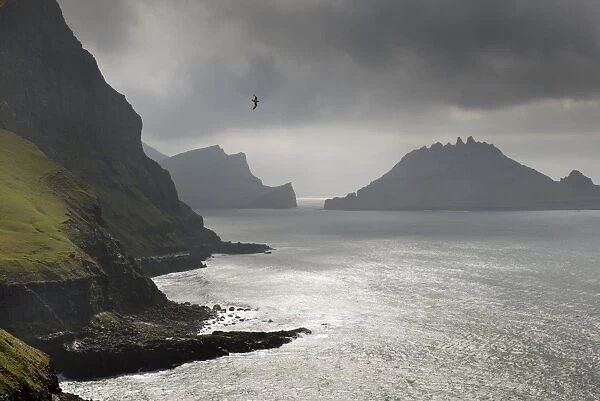Cliffs in front of the silhouette of the rugged rocks of Tindholmur, Vagar, Faroe Islands, Denmark