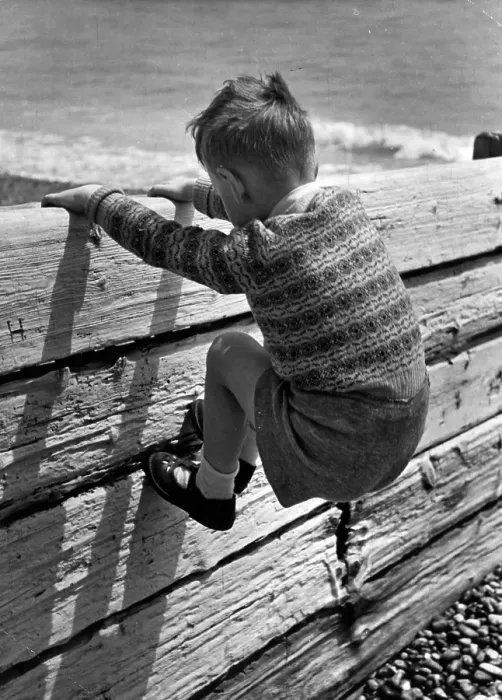 Framed Print : Climbing The Fence Framed Print : Climbing The Fence