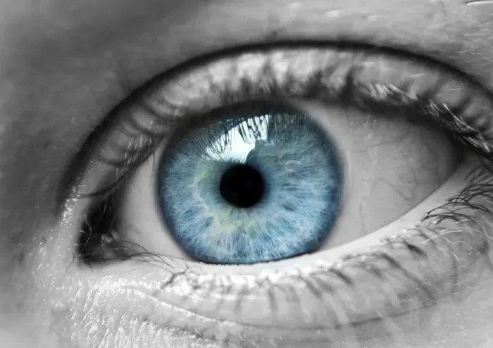 Framed Print : Close up of blue eyes Framed Print : Close up of blue eyes