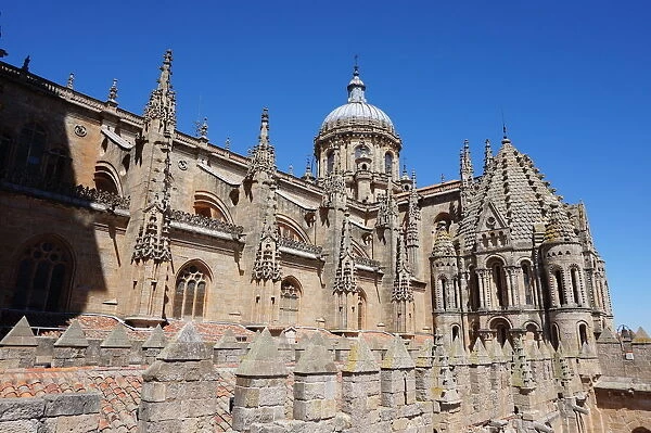 Close up on the New Cathedral of Salamanca, Spain