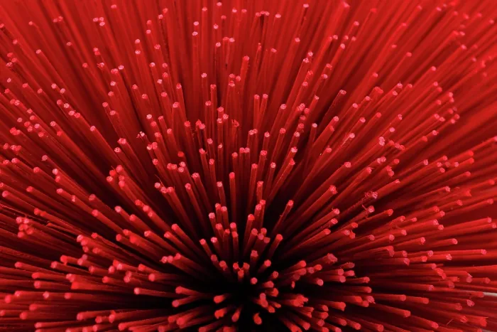 Framed Print : Close up shot of a bouquet of red incense sticks at the incense village in north Vietnam Framed Print : Close up shot of a bouquet of red incense sticks at the incense village in north Vietnam