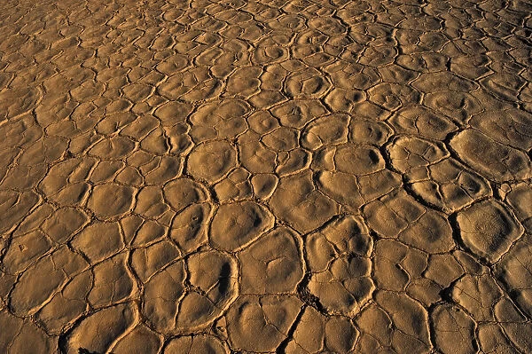 Close up Texture of the Cracked Clay Surface of Deadvlei at Sunset. Namib-Naukluft National Park, Namibia