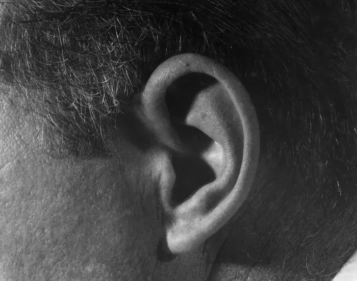 Framed Print : Close-up of Boxer Gene Fullmer's Ear Framed Print : Close-up of Boxer Gene Fullmer's Ear