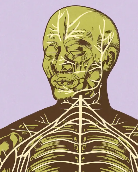 Framed Print : Close-up of Nerves of Head and Chest