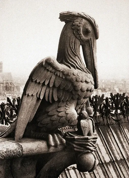 Framed Print : Close-Up Of Notre Dame Gargoyle Framed Print : Close-Up Of Notre Dame Gargoyle