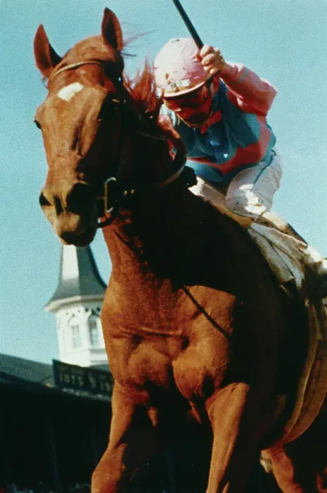 Framed Print : Close Up of Willie Shoemaker Riding Ferdinand Framed Print : Close Up of Willie Shoemaker Riding Ferdinand