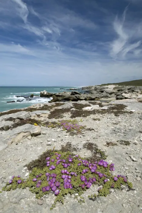 Framed Print : cloud, coast, coastline, color image, day, de hoop nature reserve, hiking, horizon over water
