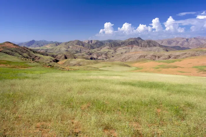 Framed Print : Cloud, Field, Grass, Hill, Kaokoveld, Kunene River, Landscape, Mountain, Mountain Range