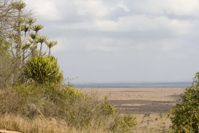 Framed Print : Cloud, Kruger National Park, Landscape, Lebombo Knobthorn-Marula Bushveld, Mpumalanga Province Framed Print : Cloud, Kruger National Park, Landscape, Lebombo Knobthorn-Marula Bushveld, Mpumalanga Province