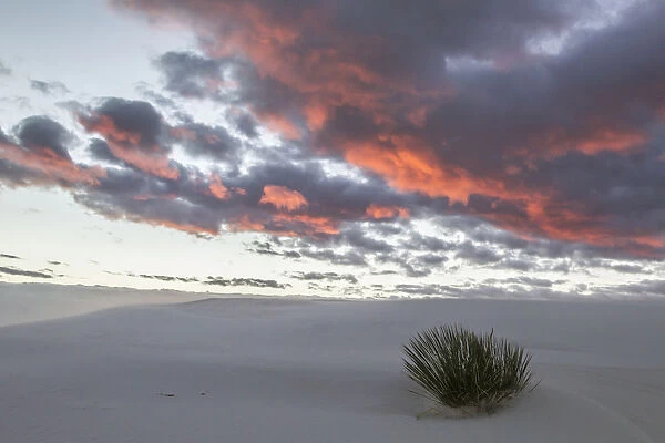 Clouds lit by sunrise over White Sands National Monument, New Mexico, USA