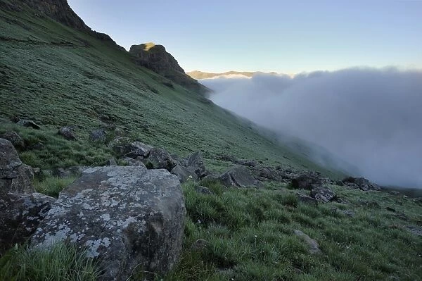 Clouds rising along a grassy slope in the Royal Natal section of the Drakensberg Mountains, Drakensberg Ukhahlamba National Park, South Africa
