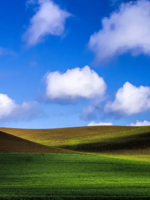 Framed Print : Clouds over wheat fields of Palouse region in spring, Washington State, USA Framed Print : Clouds over wheat fields of Palouse region in spring, Washington State, USA