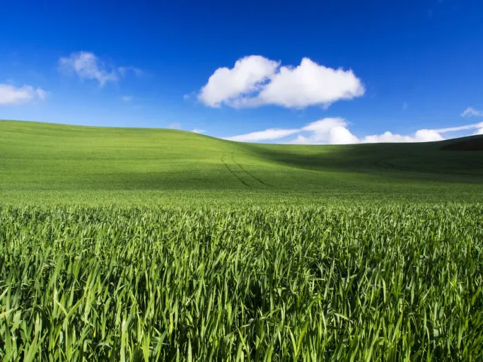 Framed Print : Clouds over wheat fields of Palouse region in spring, Washington State, USA Framed Print : Clouds over wheat fields of Palouse region in spring, Washington State, USA