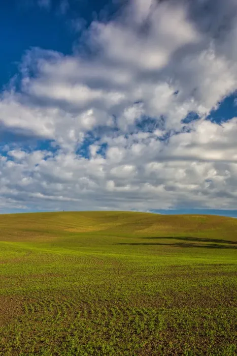 Framed Print : Clouds over wheat fields of Palouse region in spring, Washington State, USA Framed Print : Clouds over wheat fields of Palouse region in spring, Washington State, USA
