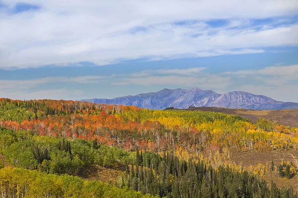 Cloudy sky over autumn forest in Manti-La Sal National Forest, Utah, USA