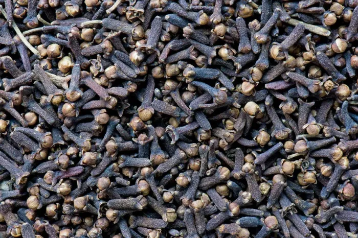 Framed Print : Cloves, Kerala, India Framed Print : Cloves, Kerala, India