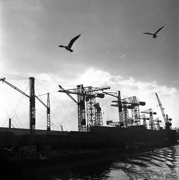 Clydside Docks; Cranes and seagulls silhouetted against the sky