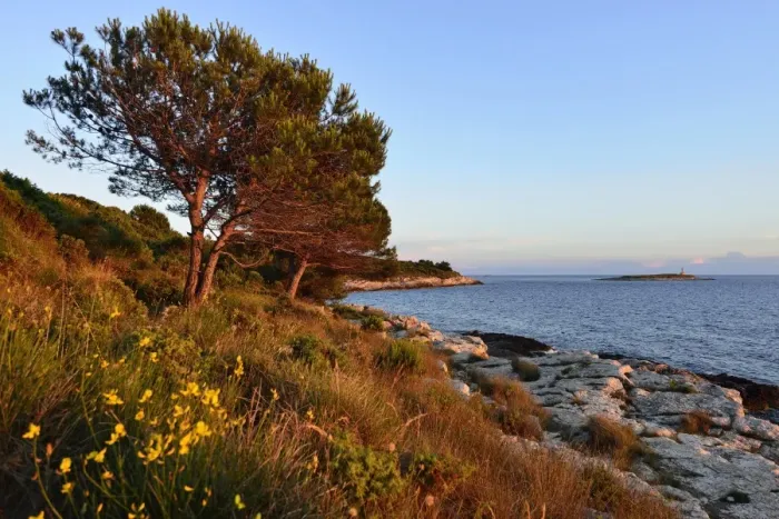 Framed Print : Coast in the evening light, Cape Kamenjak, Premantura, Istria, Croatia Framed Print : Coast in the evening light, Cape Kamenjak, Premantura, Istria, Croatia