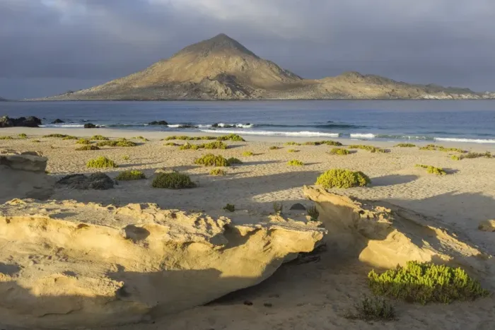 Framed Print : Coast in the morning light, Pan de Azucar National Park, Atacama Region, Chile Framed Print : Coast in the morning light, Pan de Azucar National Park, Atacama Region, Chile