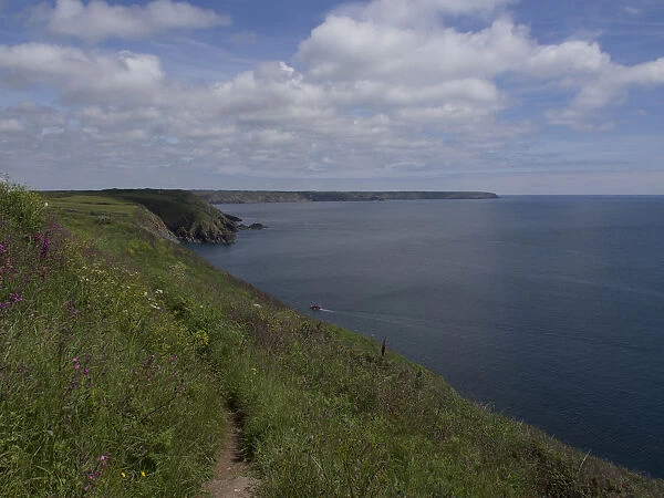Coast, South-West Coast Path in Cornwall, Great Britain
