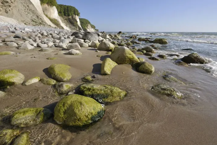 Framed Print : Coastal cliffs, shingle beach and chalk cliffs, UNESCO World Natural Heritage Site, Jasmund National Park, Rugen, Mecklenburg-Western Pomerania, Germany Framed Print : Coastal cliffs, shingle beach and chalk cliffs, UNESCO World Natural Heritage Site, Jasmund National Park, Rugen, Mecklenburg-Western Pomerania, Germany