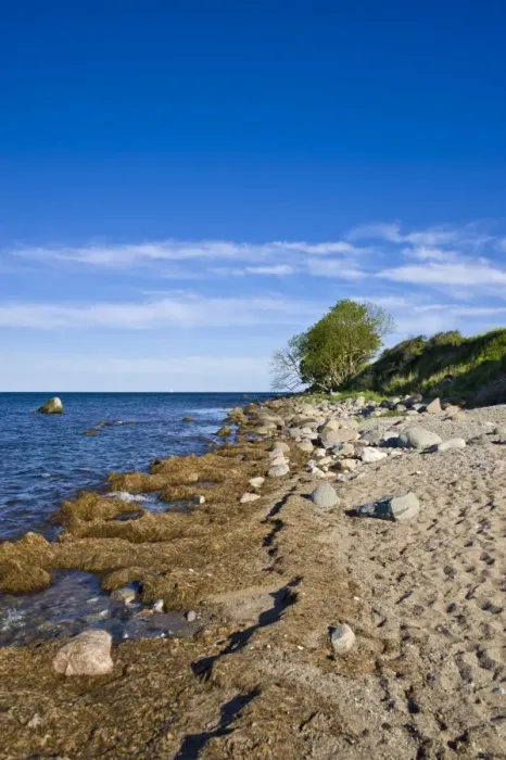 Framed Print : On the coastal cliffs of Staberhuk, Fehmarn Island, Baltic Sea, Schleswig-Holstein, Germany, Europe Framed Print : On the coastal cliffs of Staberhuk, Fehmarn Island, Baltic Sea, Schleswig-Holstein, Germany, Europe
