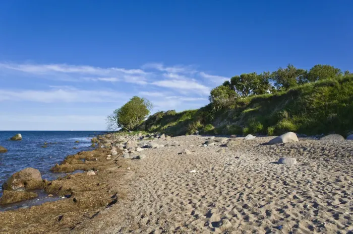 Framed Print : On the coastal cliffs of Staberhuk, Fehmarn Island, Baltic Sea, Schleswig-Holstein, Germany, Europe Framed Print : On the coastal cliffs of Staberhuk, Fehmarn Island, Baltic Sea, Schleswig-Holstein, Germany, Europe