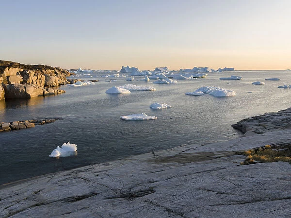Coastal landscape with icebergs at Disko Bay, Oqaatsut (Rodebay), Greenland, Denmark