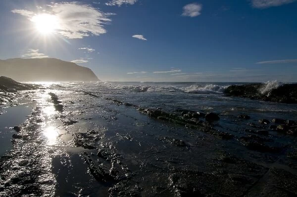 Coastal landscape in the morning light, Wild Coast, Eastern Cape, South Africa, Africa