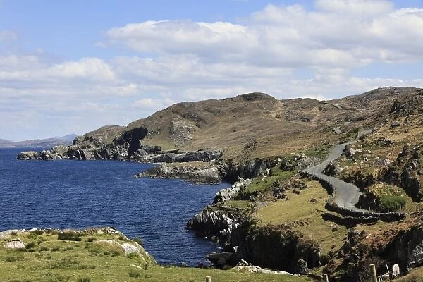 Coastal road, Ring of Beara, Beara Peninsula, County Cork, Ireland, British Isles, Europe
