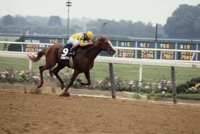 Framed Print : Coastal Winning Belmont Stakes Framed Print : Coastal Winning Belmont Stakes